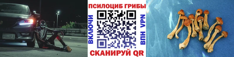 Псилоцибиновые грибы Psilocybe  blacksprut как зайти  Корсаков 
