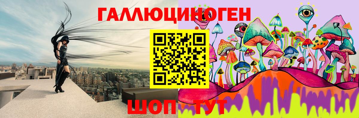 Корсаков  Псилоцибиновые грибы GOLDEN TEACHER  наркотики  Вход с VPN 